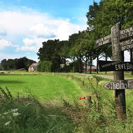 Appealing In Guelders Near Forest * Lochem