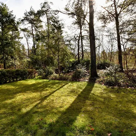 Vakantiehuis Appealing In Guelders Near Forest