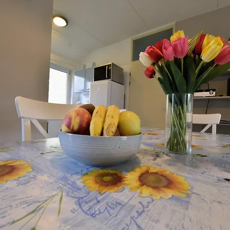 In Near Forest Trails * Lochem