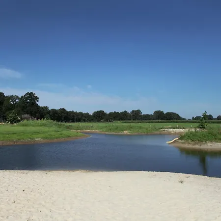 In Near Forest Trails *