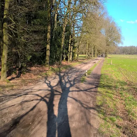 Semesterbostad In Near Forest Trails