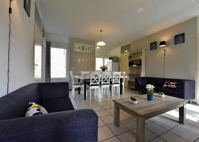 In Near Forest Trails