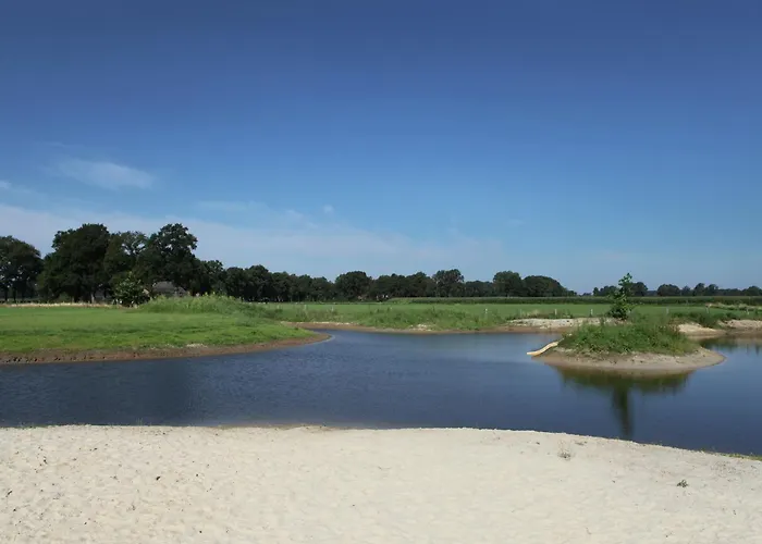 In Near Forest Trails *