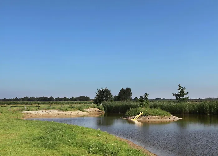 In Near Forest Trails