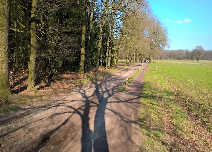 Semesterbostad In Near Forest Trails