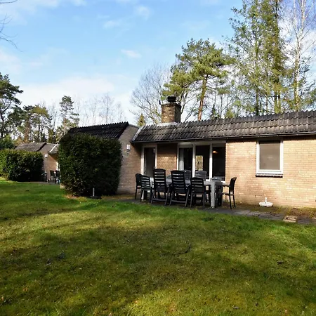 In Near Forest Trails Lochem