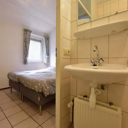 In Near Forest Trails *