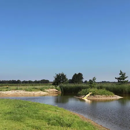 In Near Forest Trails