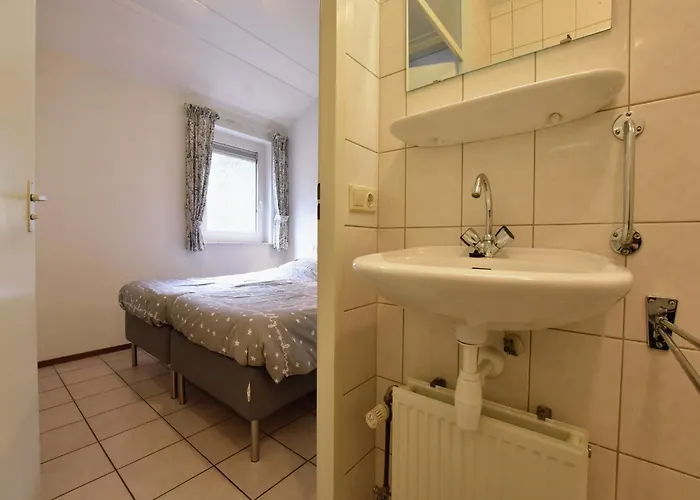 In Near Forest Trails *