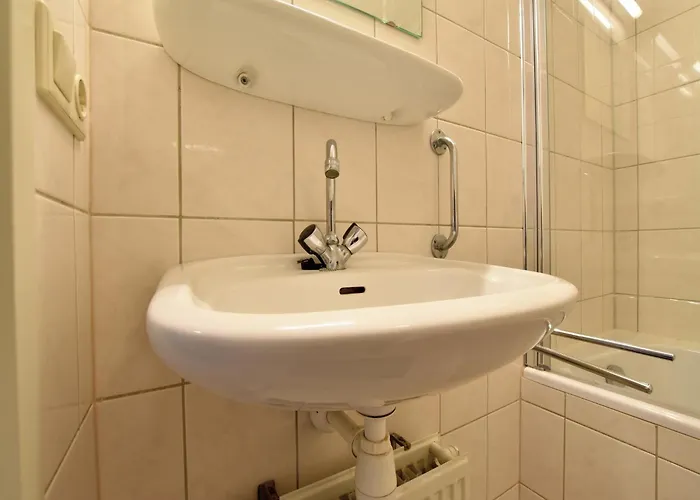 In Near Forest Trails